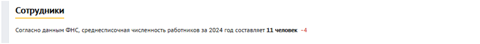 Скриншот checko.ru