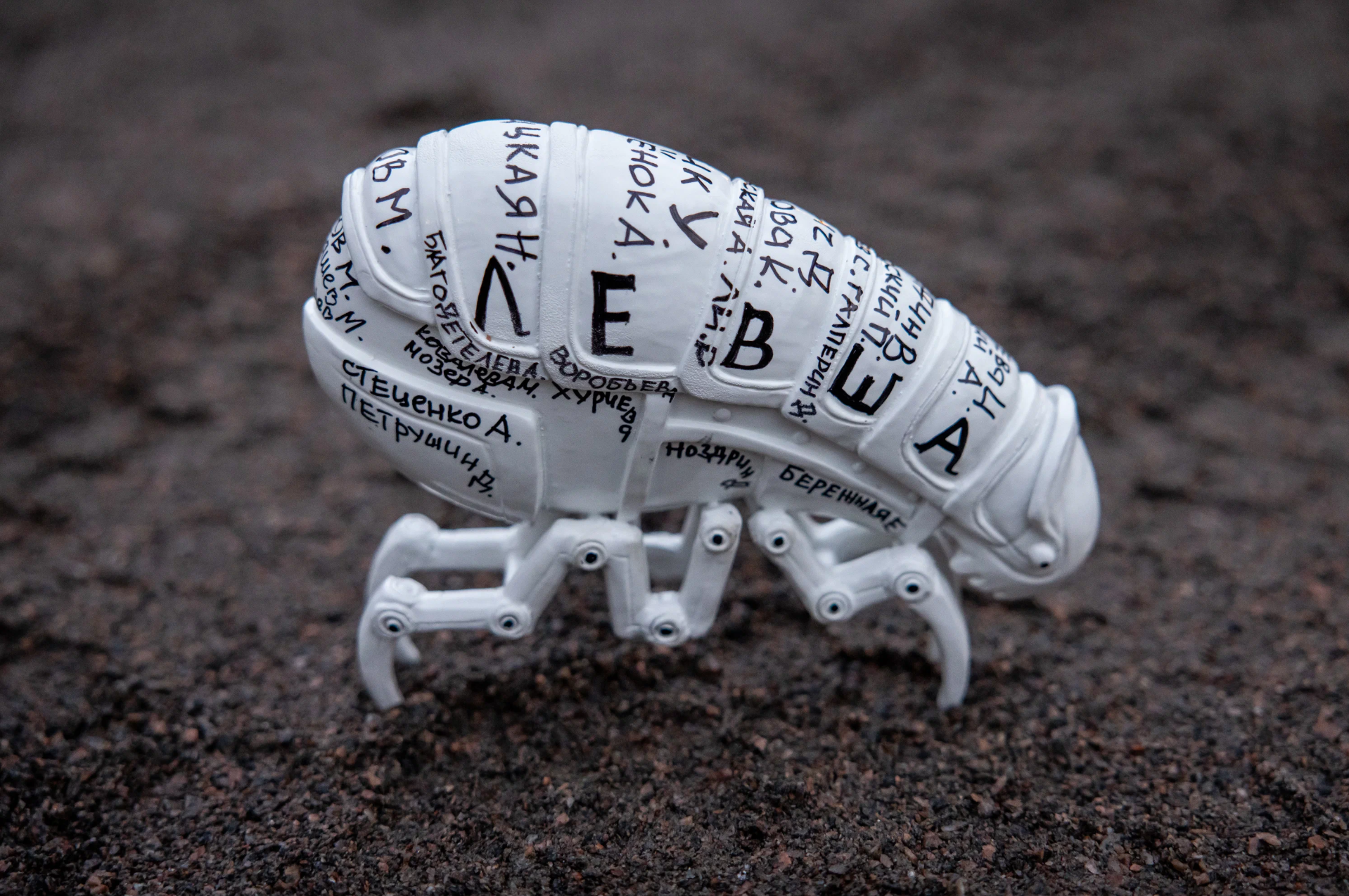 Кадр со съемок фильма 